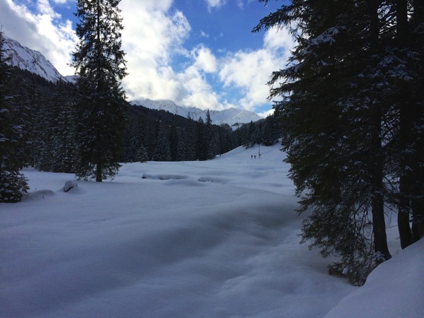 Der Weg ist das Ziel - hier durchs Schwarzwassertal